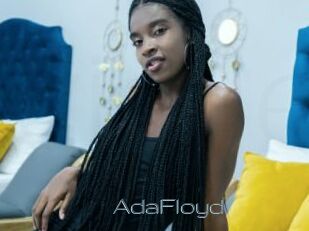 AdaFloyd
