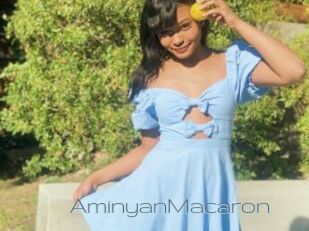 AminyanMacaron