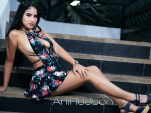 AniHudson