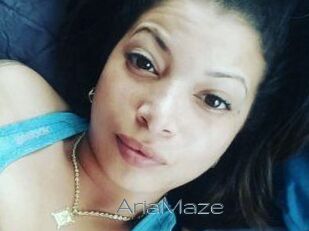 Aria_Maze