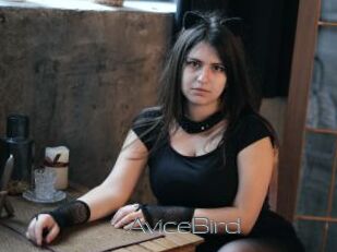 AviceBird