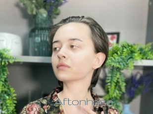 Aftonhase