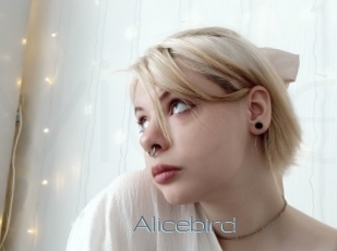 Alicebird
