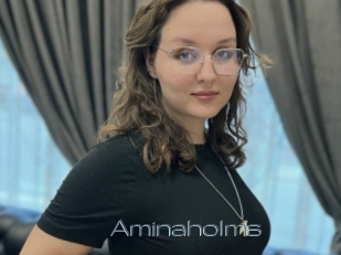Aminaholms