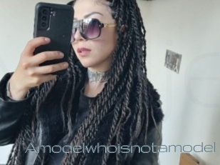 Amodelwhoisnotamodel