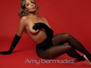 Amy_bermudez