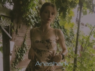 Anashark