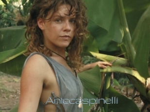 Aniccaspinelli