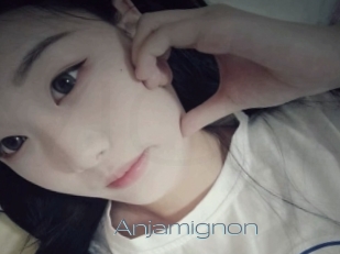 Anjamignon