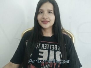 Antonellagar