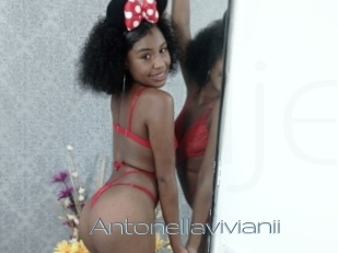 Antonellavivianii