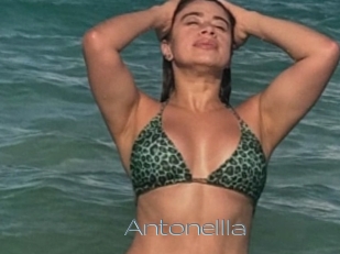Antonellla