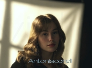 Antoniacorell