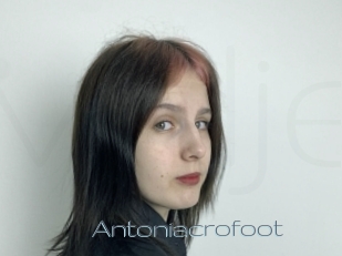 Antoniacrofoot