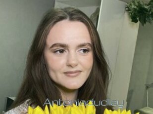 Antoniadudley