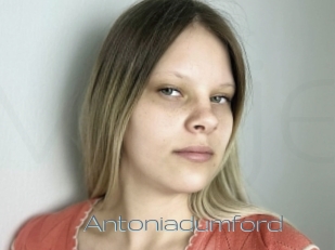 Antoniadumford