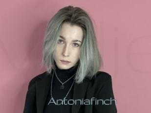 Antoniafinch