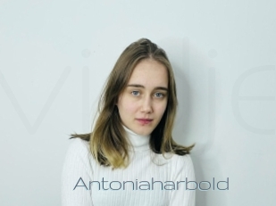 Antoniaharbold
