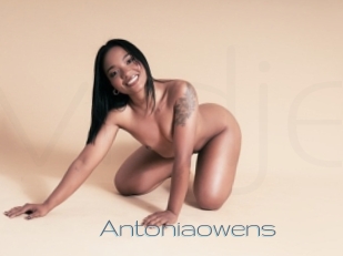 Antoniaowens