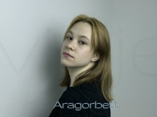 Aragorbett