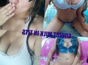 BIG_TETIS