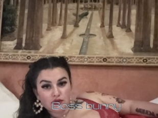 Boss_bunny