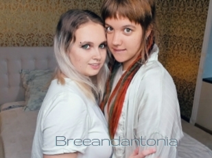 Breeandantonia