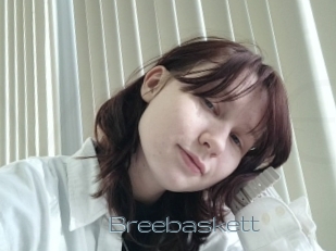 Breebaskett