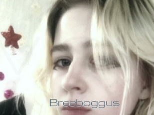 Breeboggus