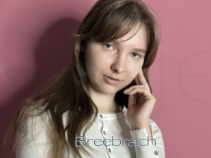 Breebrach