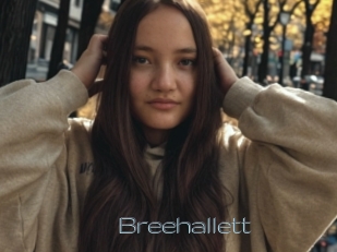 Breehallett