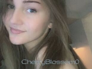 CherryBlossom0