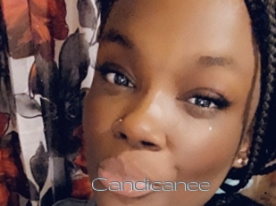 Candicanee