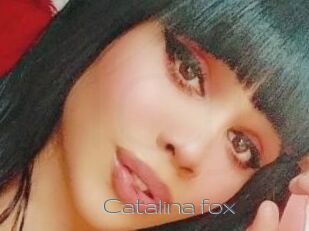 Catalina_fox