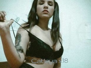 catleya_x18 Vidéos de Jeunes
