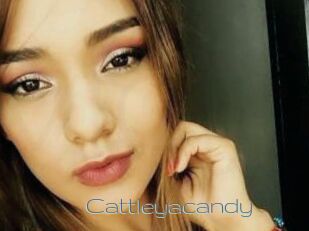 Cattleyacandy