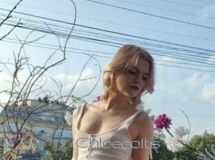 Chloecolts