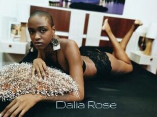 Dalia_Rose