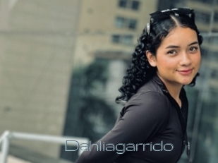 Dahliagarrido