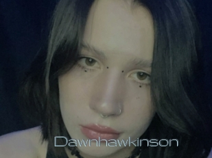 Dawnhawkinson