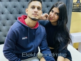 Elektraandmike