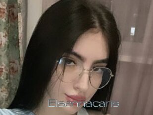 Elsennacaris