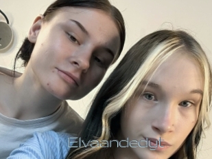Elvaandedyt