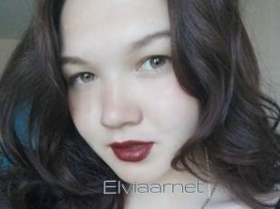 Elviaarnet