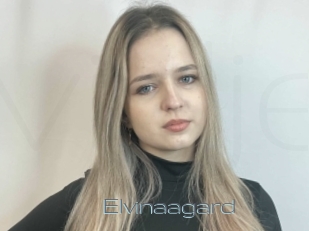 Elvinaagard