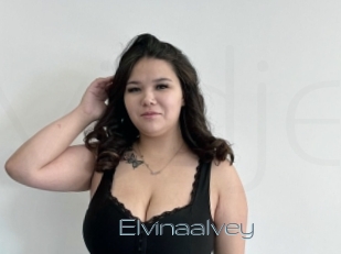 Elvinaalvey