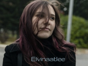 Elvinaatlee