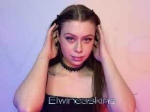 Elwineaskins