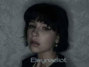 Elwynaeliot