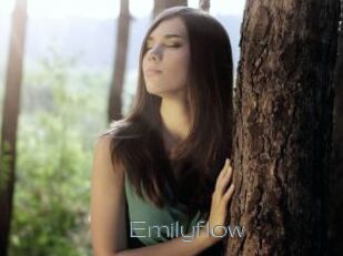 Emilyflow